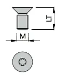 Skrutka M 5x10 TORX