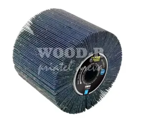 FARTOOLS Zirkónová brúsna kefa; D120; B100; P120