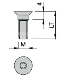 Skrutka M 5x12 TORX