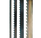 snimka